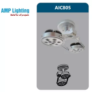 ĐÈN LED CHIẾU ĐIỂM THANH RAY2X12W AIC805 Duhal
