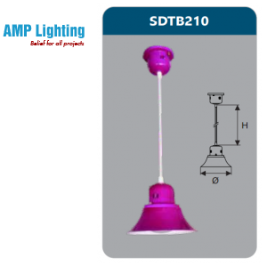 ĐÈN LED TREO THẢ TRANG TRÍ 9W SDTB210 Duhal