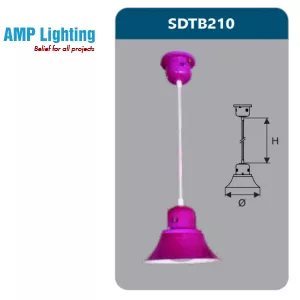 ĐÈN LED TREO THẢ TRANG TRÍ 9W SDTB210 Duhal
