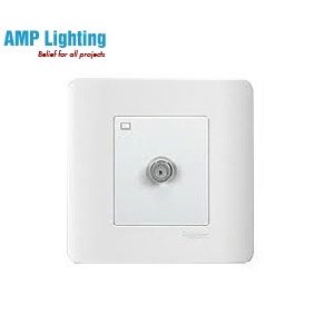 Ổ CÁM TVI ĐƠN MASTER E8431TVMF_G19 Schneider