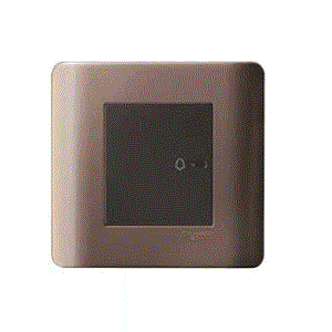 CÔNG TẮC CHUÔNG  E8431BP1_SZ_G19 Schneider