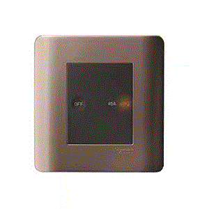 Ổ CẮM ĐƠN 2 CỰC 45A CÓ ĐÈN E8431D45_SZ_G19 Schneider