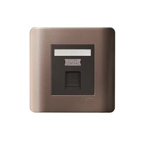 Ổ CẮM MẠNG CÓ MÀN CHE E8431RJS_6_SZ_G19 Schneider
