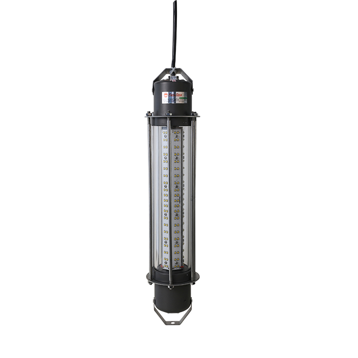Đèn LED Thả chìm 600W D TC01L/600W Rạng Đông