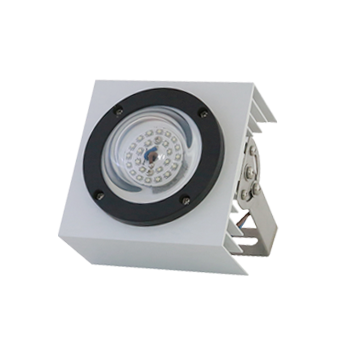 Đèn LED Chiếu Bong 50W D CB02L/50W Rạng Đông