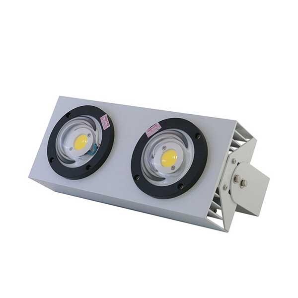 Đèn LED Chiếu Bong 100W D CB02L/100W Rạng Đông