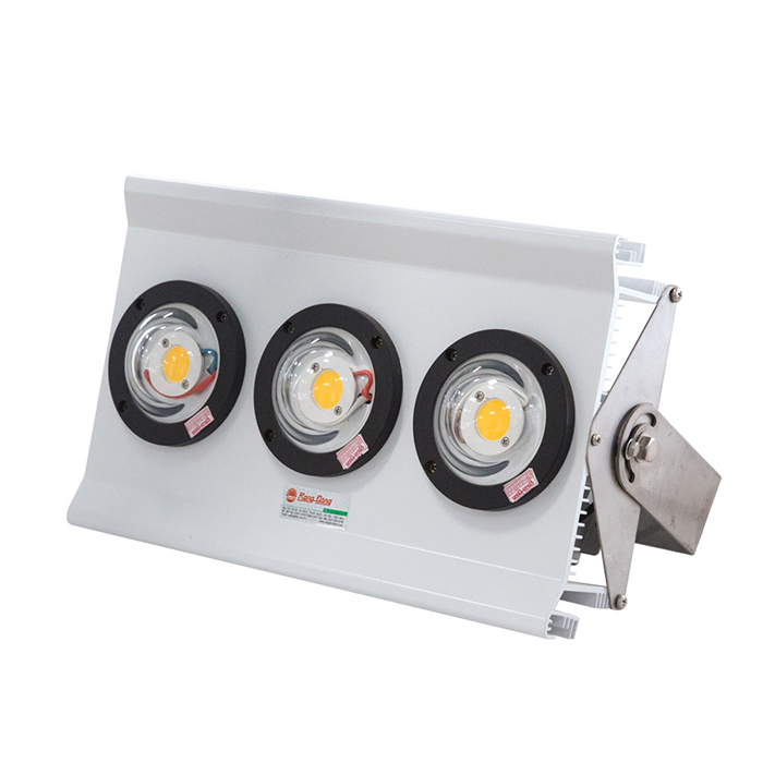 Đèn LED Chiếu Bong 150W D CB02L/150W Rạng Đông