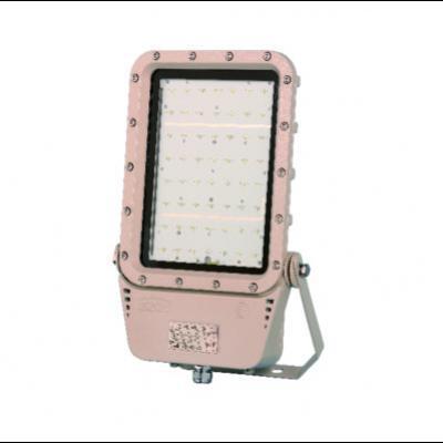 Đèn phòng chống nổ EEW BZD129-120