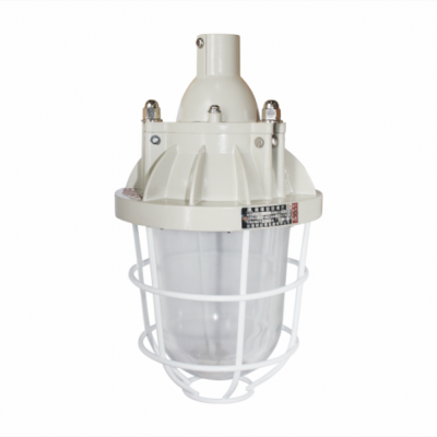 Đèn phòng chống nổ EEW BCD250 Paragon