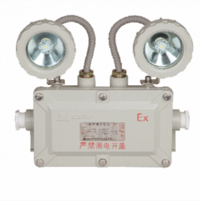 Đèn phòng chống nổ EEW LM-ZFZD-E4W Paragon