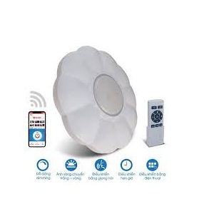 Đèn LED ốp trần thông minh wifi 48w D LN15L 490/48W.WF Rạng Đông