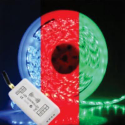 Đèn LED Dây LED5050|RGB Paragon