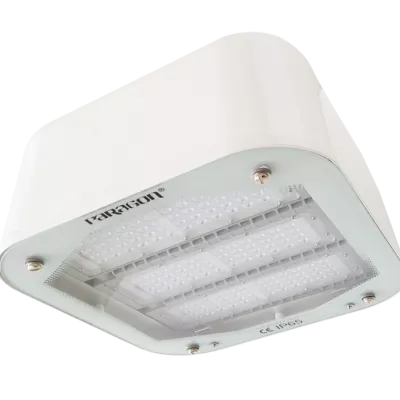 Đèn LED pha gắn nổi PUCG12065L Paragon