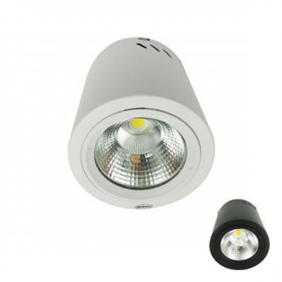 Đèn LED Downlight 10W gắn nổi PSDOO132L10 Paragon