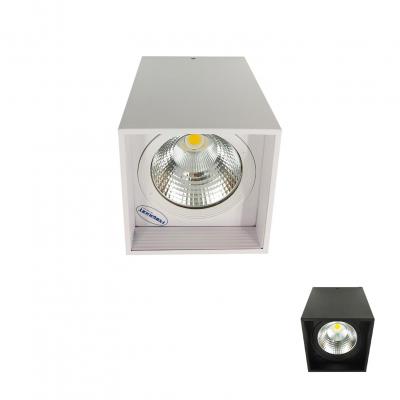 Đèn LED Downlight 10W gắn nổi PSDLL136L10 Paragon