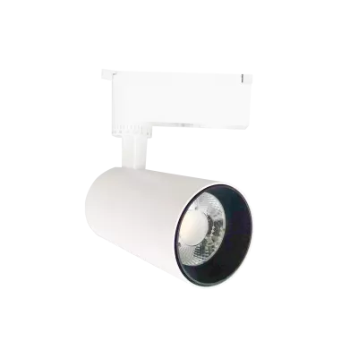 Đèn LED Pha Tiêu Điểm PSLSS15L Paragon