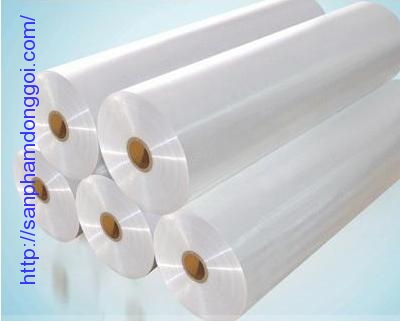 Màng PE D50 cuộn lớn quấn máy