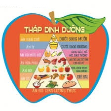 Bảng tháp dinh dưỡng