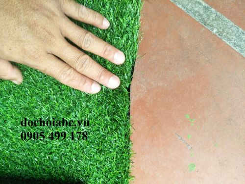 z1153680817666_30a746ffa43a42ecf2c04474e9c96c46