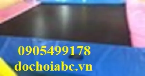 Sàn nhún 2m4