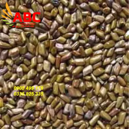 Ảnh chụp màn hình (239)
