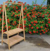 Xào treo quần áo 2 tầng chữ A bằng gỗ
