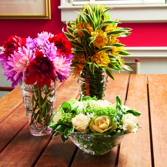 Sản phẩm Ice-Petals-Slice