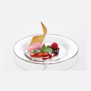 Đĩa Vivendi 20cm