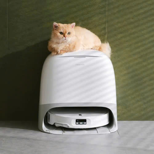 Roborock Qrevo Curv 2 Pro