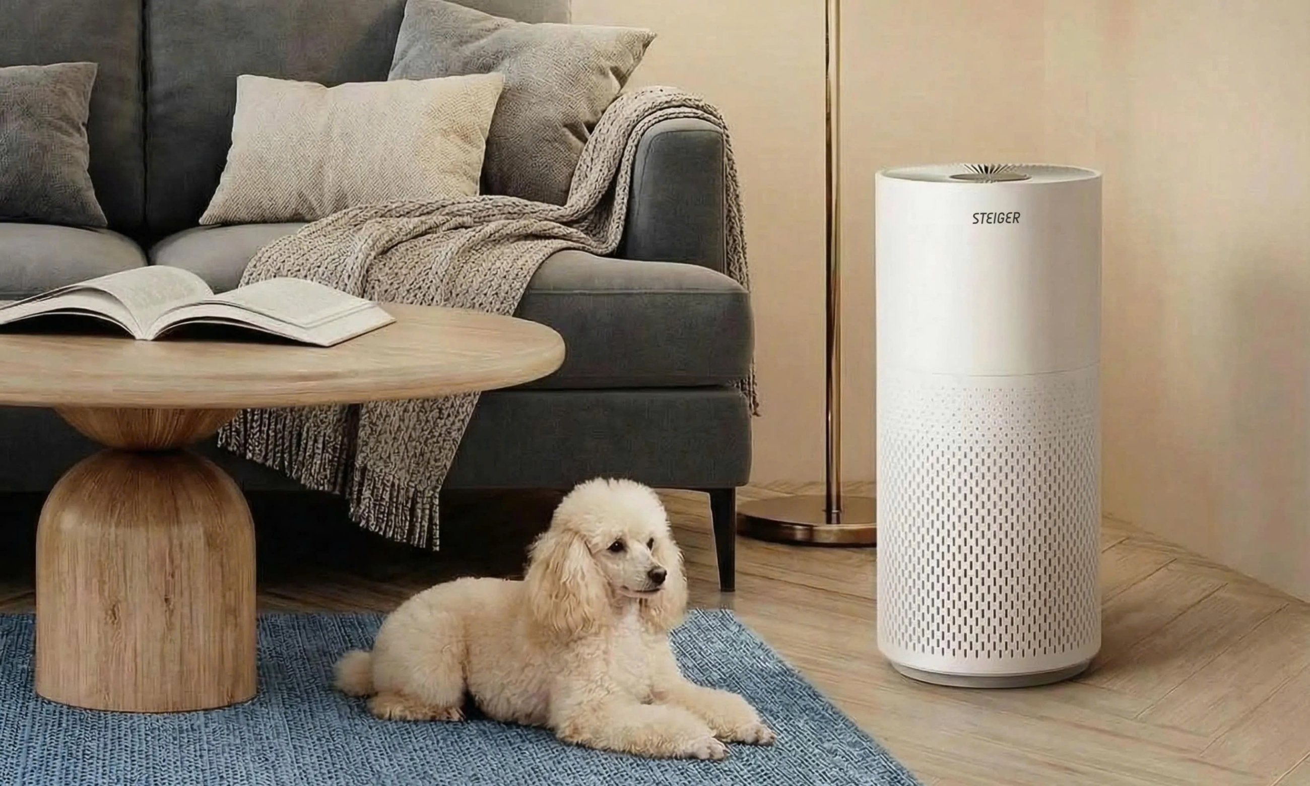 z7393696949549_9583524593ac193128d175c121f52065