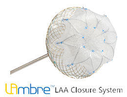 LAmbre