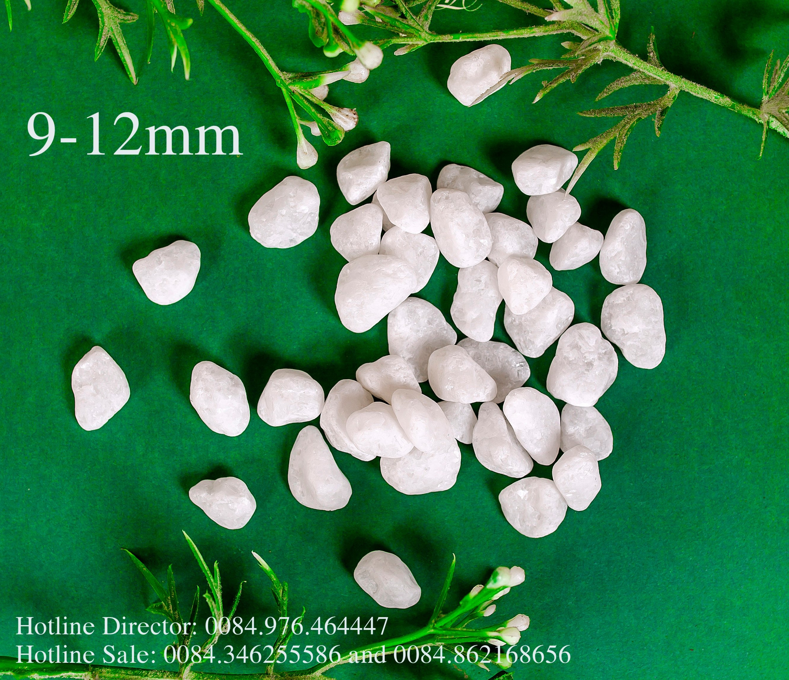 09 - 12 MM