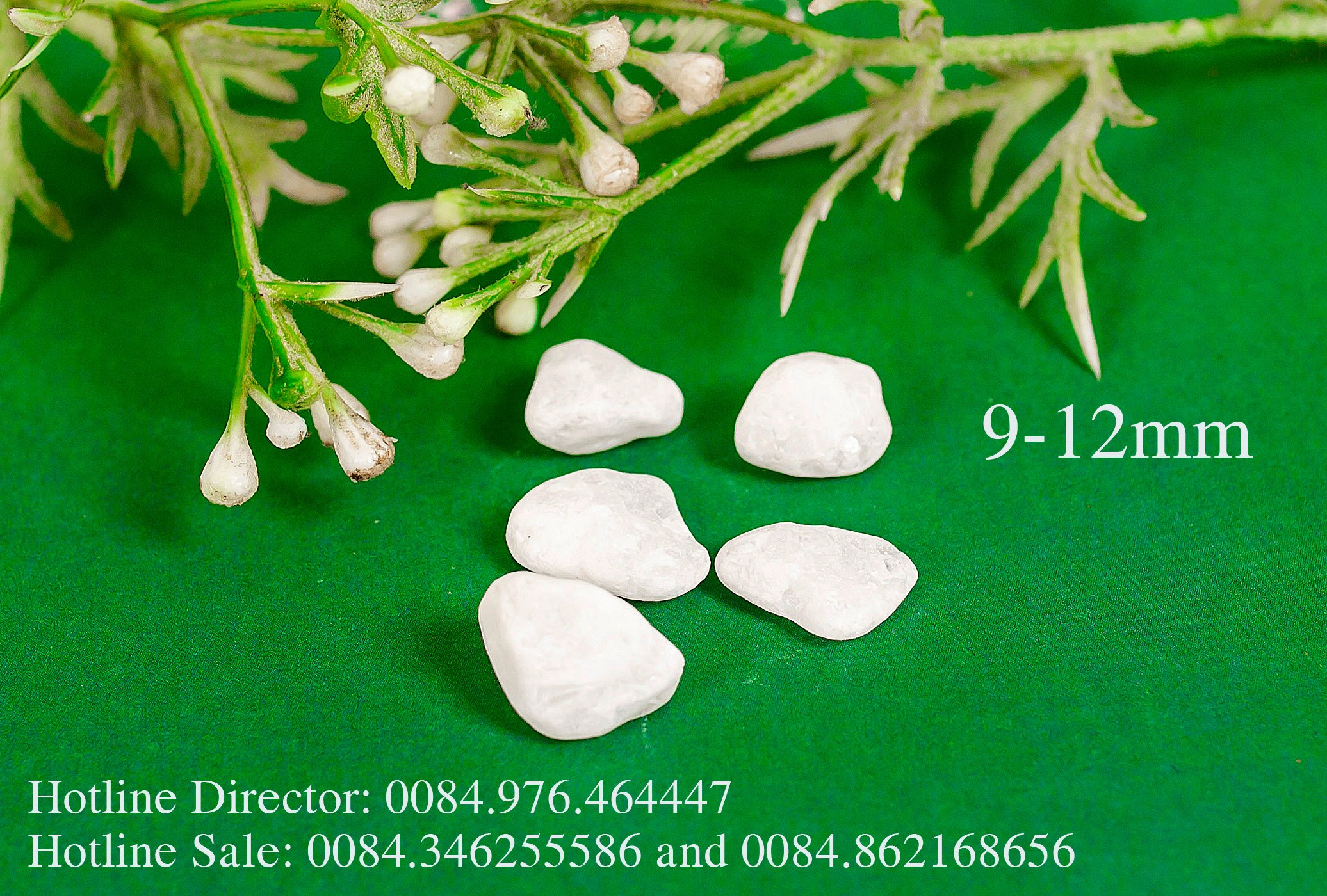 09-12 mm (3)