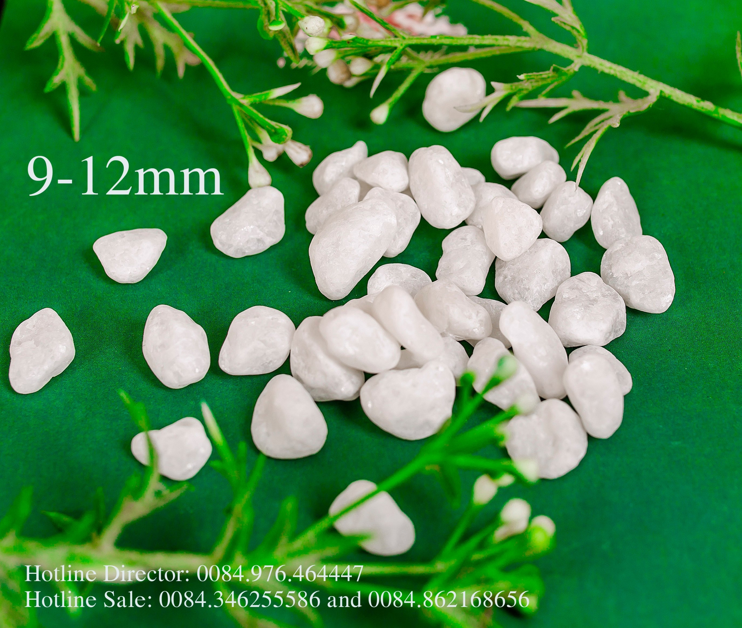 09-12 mm (ok)
