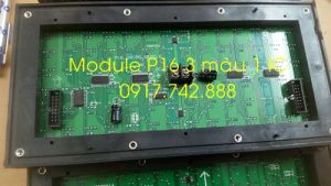 Module P16 3 màu 1 IC
