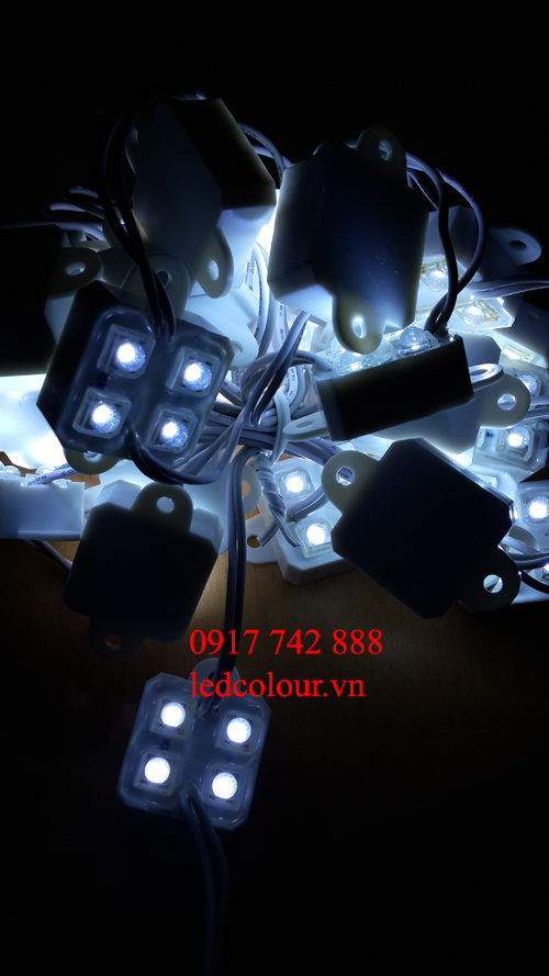 1376967291_bong led cum 4 de nhua 5ly1