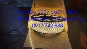 Led dây 35x28 220v màu trắng nắng