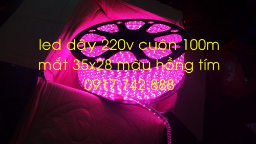 1406717379_220v 3528 hong tim 2