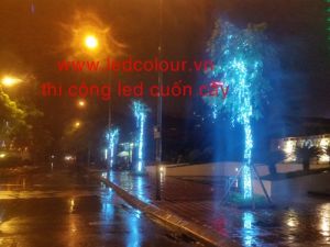 Thi công led cuốn cây