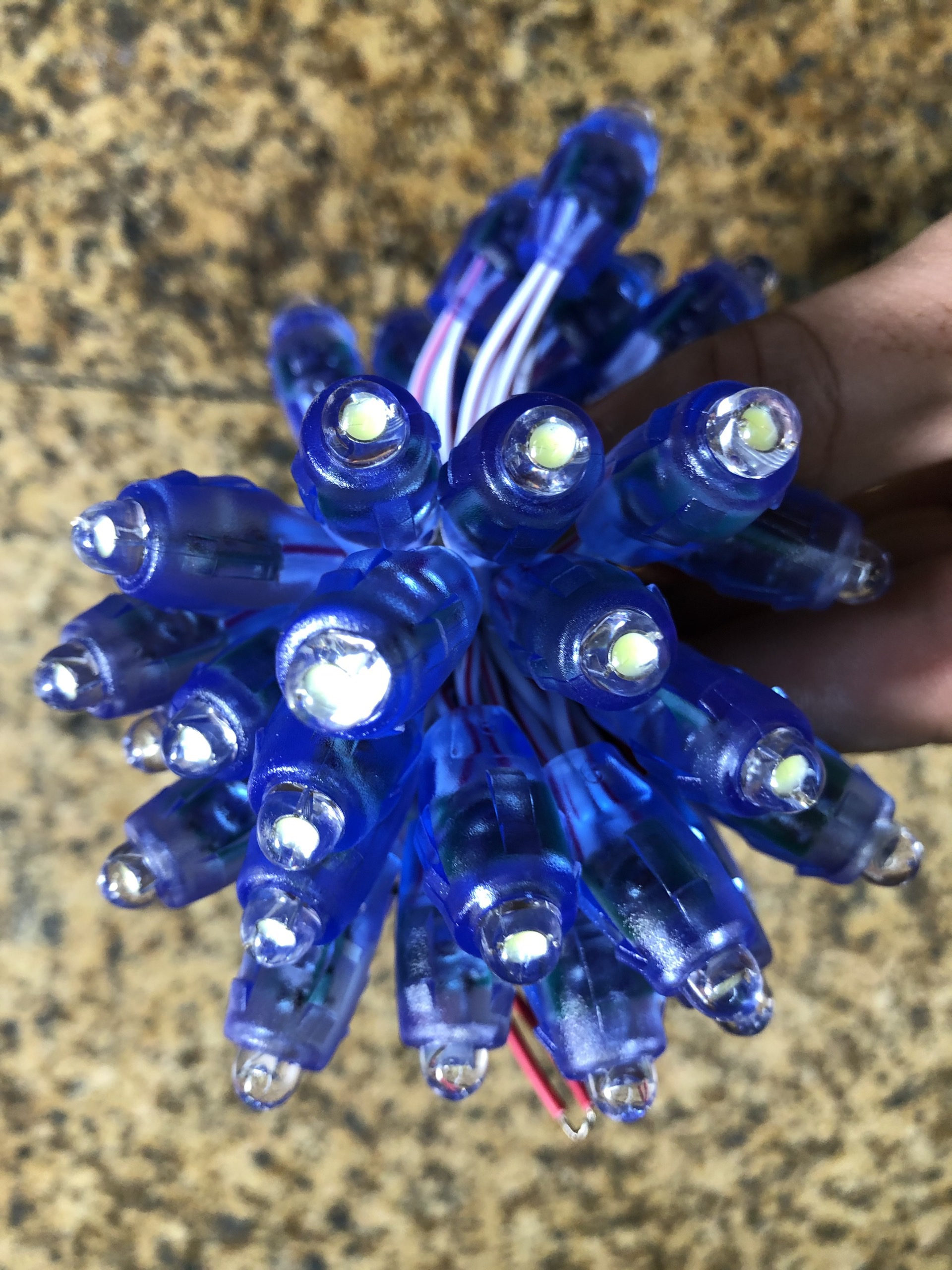 2022_02_20_14_10_IMG_7152