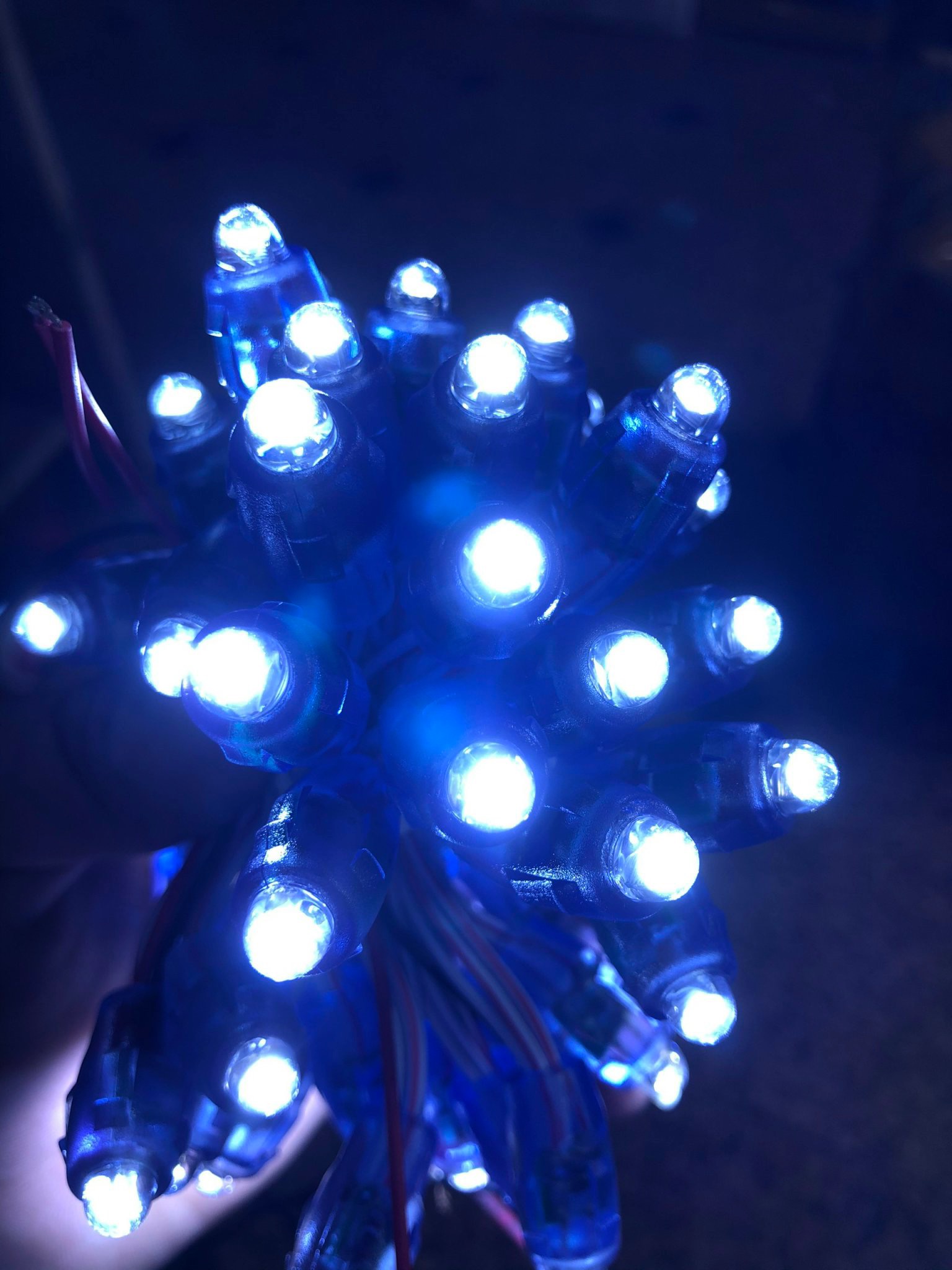 2022_02_20_14_10_IMG_7153