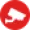 Camera quan sát