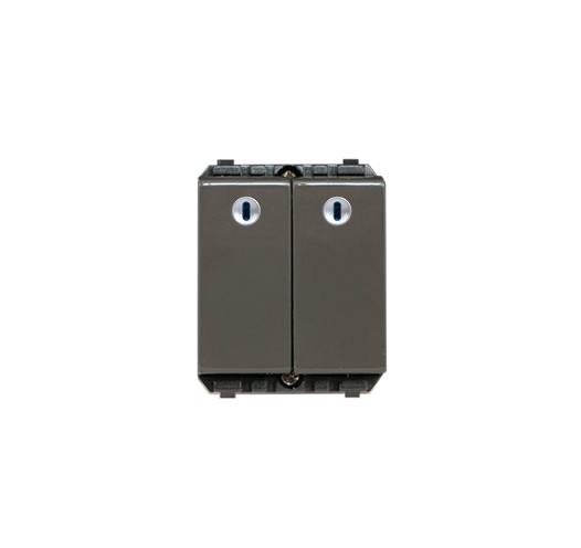 Công tắc kép cỡ trung 1 chiều DKCC/S/2