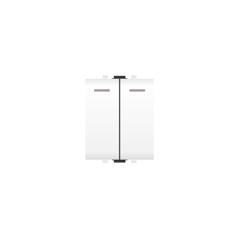 Công tắc kép cỡ trung 1 chiều - VGS/2 (Nhiều màu)