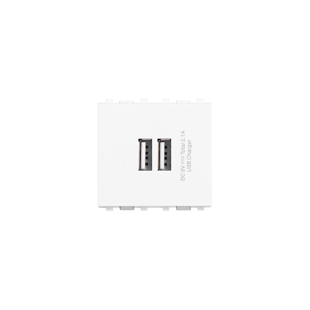 Ổ USB loại đôi - S668C/USB2