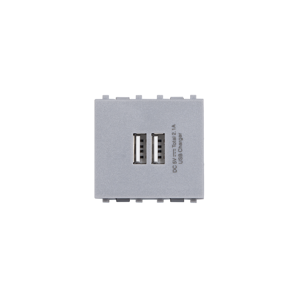 Ổ USB loại đôi - S668CG/USB2