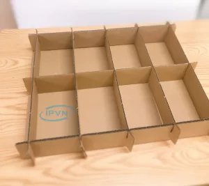 Hộp và khay Carton