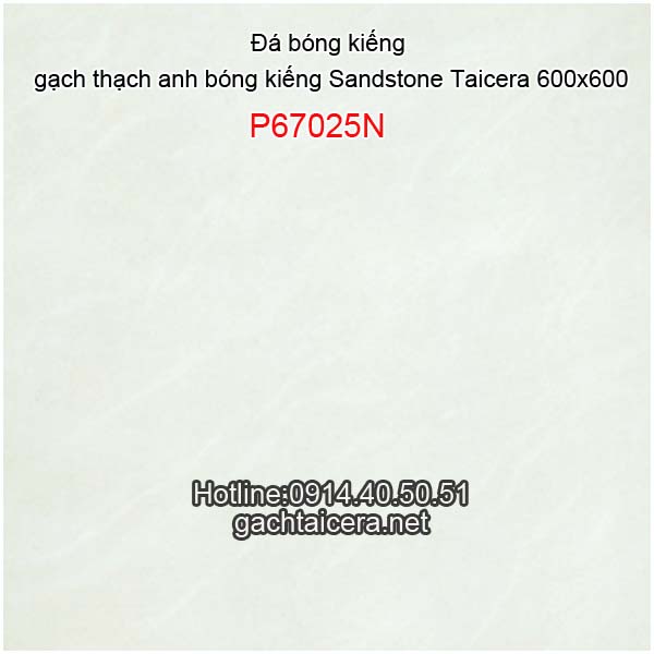 Đá Taicera bóng kiếng 60x60 P67025N