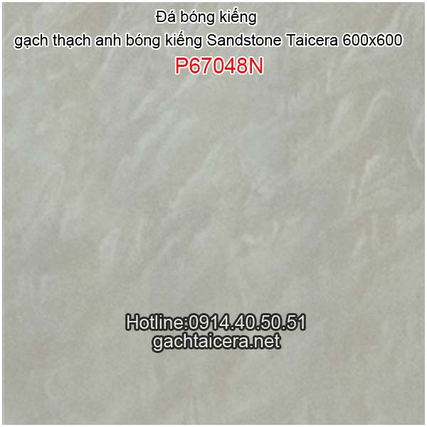 Đá Taicera bóng kiếng 60x60 P67048N