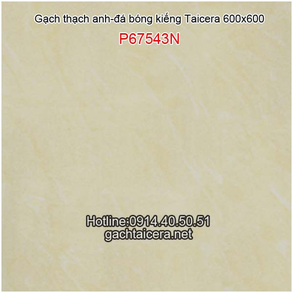 Gạch Taicera bóng kiếng 60x60 P67543N